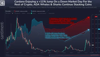 Китовые заплывы поспособствовали взлету Cardano на 107%