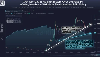 Усиление китовой поддержки подтолкнуло XRP более чем на 10%