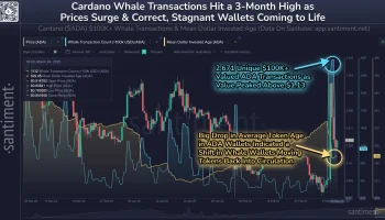 Активность Cardano-китов усилилась до трехмесячного максимума