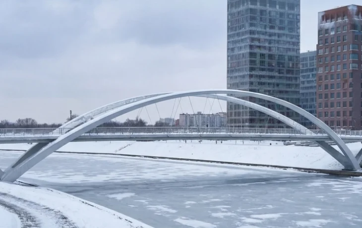 Владимир Ефимов: началось строительство опор арок моста между Мневниковской поймой и районом Крылатское Владимир Ефимов: началось строительство опор арок моста между Мневниковской поймой и районом Крылатское