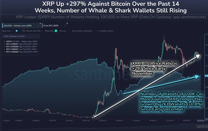 Усиление китовой поддержки подтолкнуло XRP более чем на 10%
