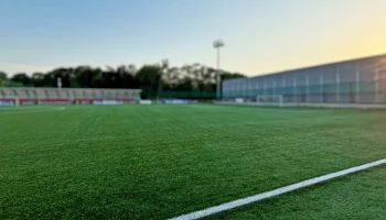 Спорткомплекс с ареной для регби построят в Мнёвниковской пойме