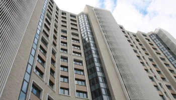 Началось озеленение территории проблемного ЖК «Квартал Триумфальный» в рамках благоустройства