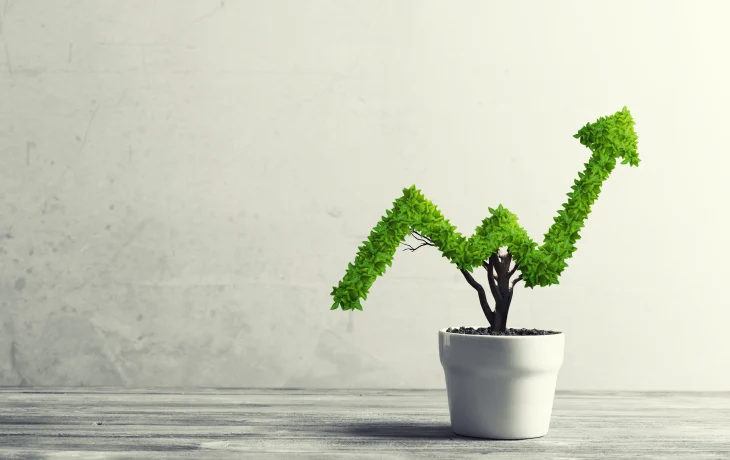 Срок службы литий-серной батареи увеличили до 1500 циклов Срок службы литий-серной батареи увеличили до 1500 циклов