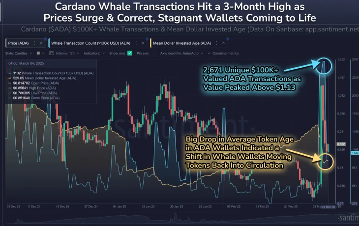 Активность Cardano-китов усилилась до трехмесячного максимума