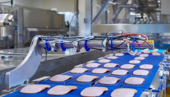 Предприятие по выпуску готовых блюд разместят в Краснопахорском районе