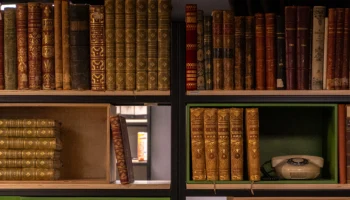 Выставка ко Дню города откроется в Библиотеке архитекторов и урбанистов