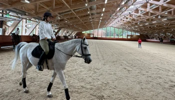 Конноспортивный клуб появится в районе Внуково в рамках МаИП