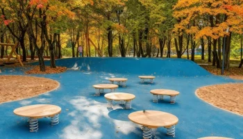 Общественные пространства создадут в районах Дорогомилово и Филёвский Парк по проекту КРТ