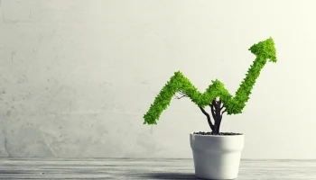 Срок службы литий-серной батареи увеличили до 1500 циклов