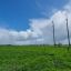 Meridian Energy получила разрешение на строительство СЭС на 110 МВт в Новой Зеландии Meridian Energy получила разрешение на строительство СЭС на 110 МВт в Новой Зеландии