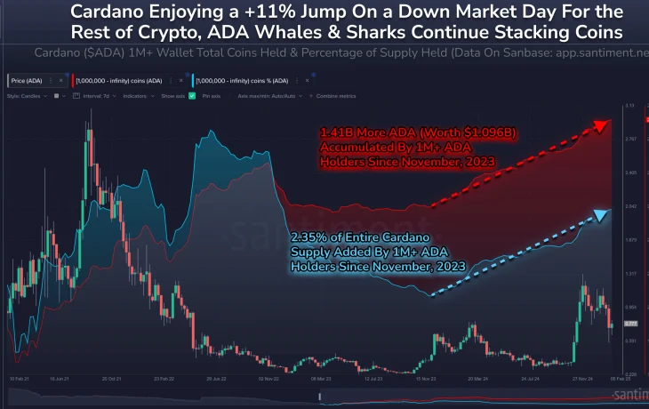 Китовые заплывы поспособствовали взлету Cardano на 107%