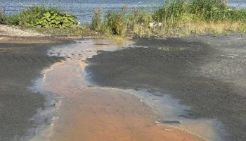 Жители Долгопрудного получили шокирующие данные о состоянии воды в Клязьминском водохранилище